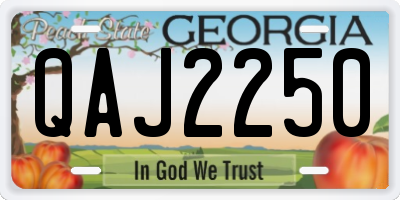 GA license plate QAJ2250