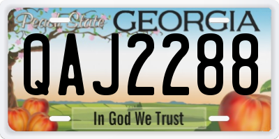 GA license plate QAJ2288