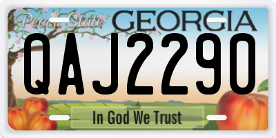 GA license plate QAJ2290