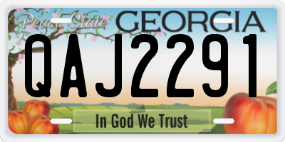 GA license plate QAJ2291