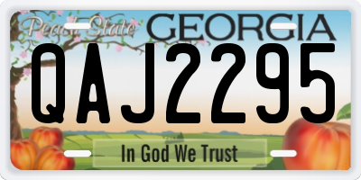 GA license plate QAJ2295