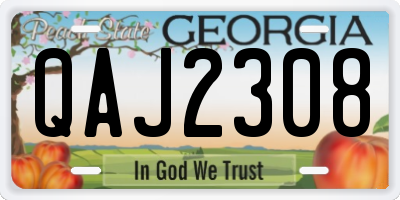 GA license plate QAJ2308