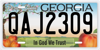 GA license plate QAJ2309