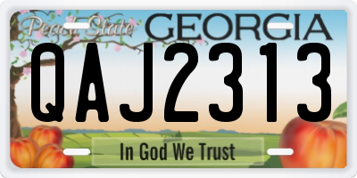 GA license plate QAJ2313