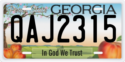 GA license plate QAJ2315