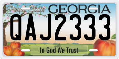 GA license plate QAJ2333