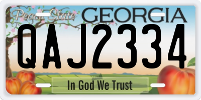 GA license plate QAJ2334