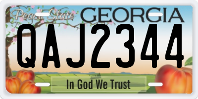 GA license plate QAJ2344