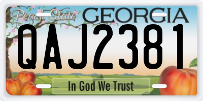 GA license plate QAJ2381