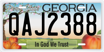 GA license plate QAJ2388