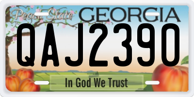 GA license plate QAJ2390