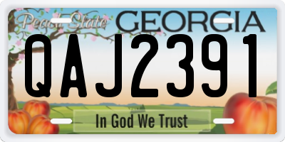 GA license plate QAJ2391