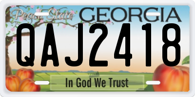 GA license plate QAJ2418