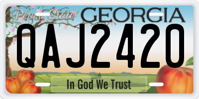GA license plate QAJ2420