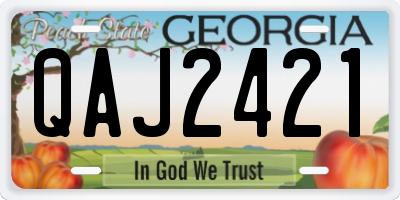 GA license plate QAJ2421