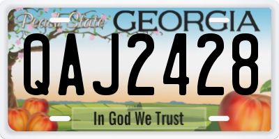 GA license plate QAJ2428