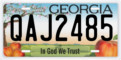 GA license plate QAJ2485