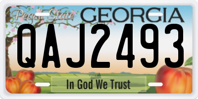 GA license plate QAJ2493