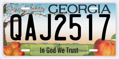 GA license plate QAJ2517