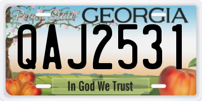 GA license plate QAJ2531
