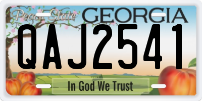 GA license plate QAJ2541