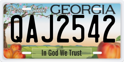 GA license plate QAJ2542