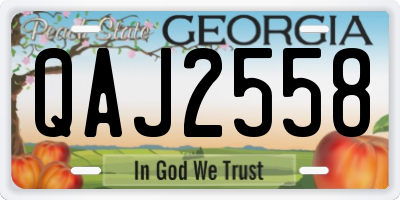 GA license plate QAJ2558