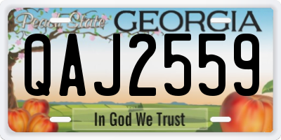 GA license plate QAJ2559
