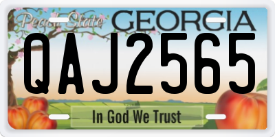 GA license plate QAJ2565
