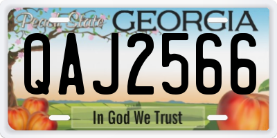 GA license plate QAJ2566