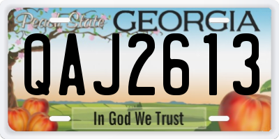 GA license plate QAJ2613