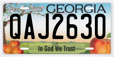 GA license plate QAJ2630