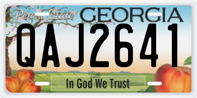 GA license plate QAJ2641