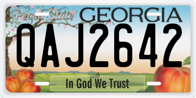 GA license plate QAJ2642
