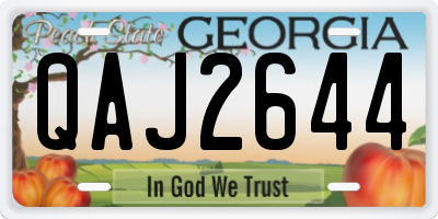 GA license plate QAJ2644