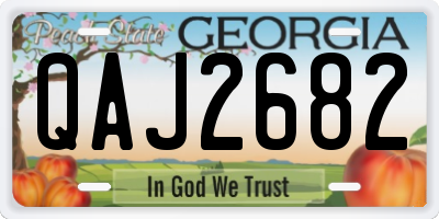 GA license plate QAJ2682