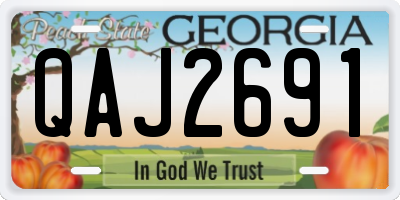 GA license plate QAJ2691