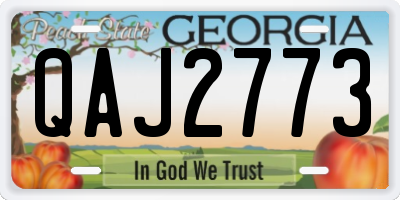 GA license plate QAJ2773