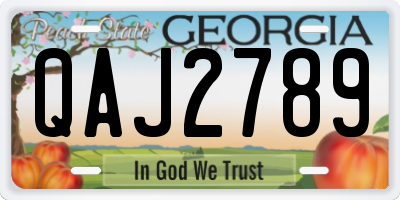 GA license plate QAJ2789