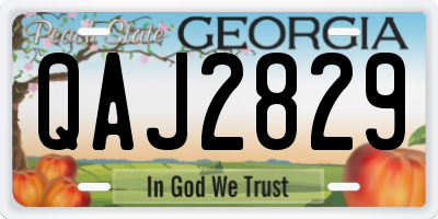 GA license plate QAJ2829