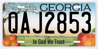 GA license plate QAJ2853