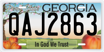 GA license plate QAJ2863