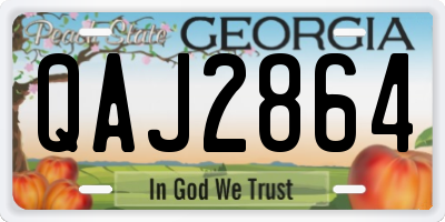 GA license plate QAJ2864
