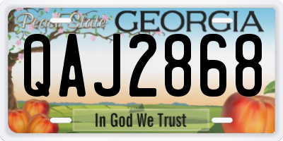 GA license plate QAJ2868