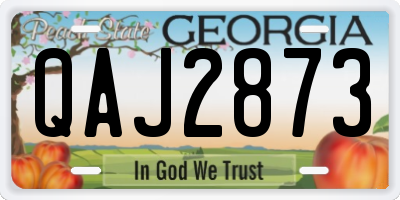 GA license plate QAJ2873