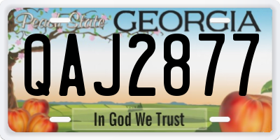 GA license plate QAJ2877