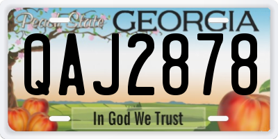 GA license plate QAJ2878