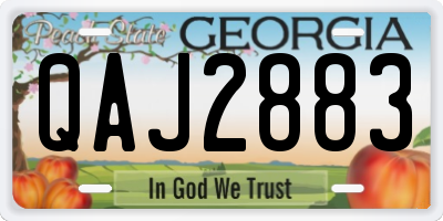 GA license plate QAJ2883