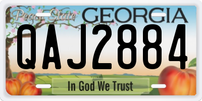GA license plate QAJ2884