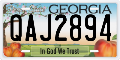 GA license plate QAJ2894